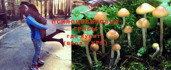 дурь Арсеньев