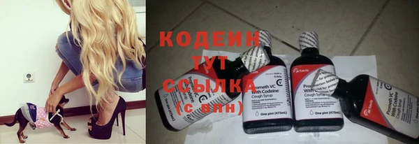 дурь Арсеньев