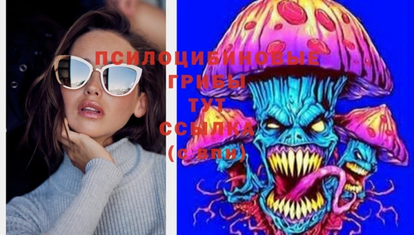 молекула духа Армянск