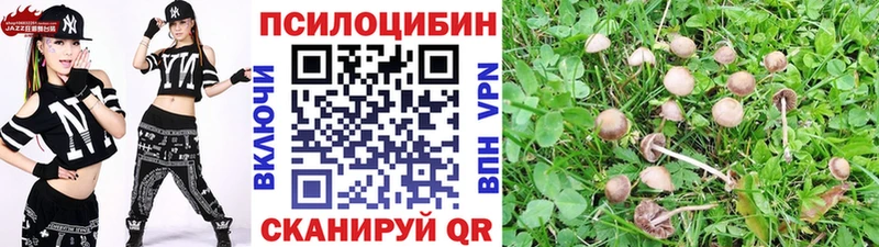 магазин    Серов  OMG   Псилоцибиновые грибы ЛСД 